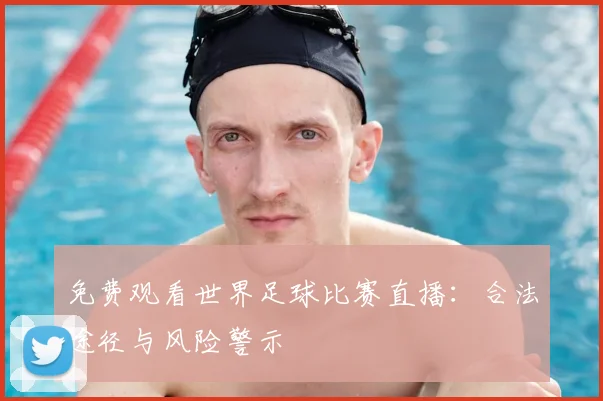 免费观看世界足球比赛直播:合法途径与风险警示